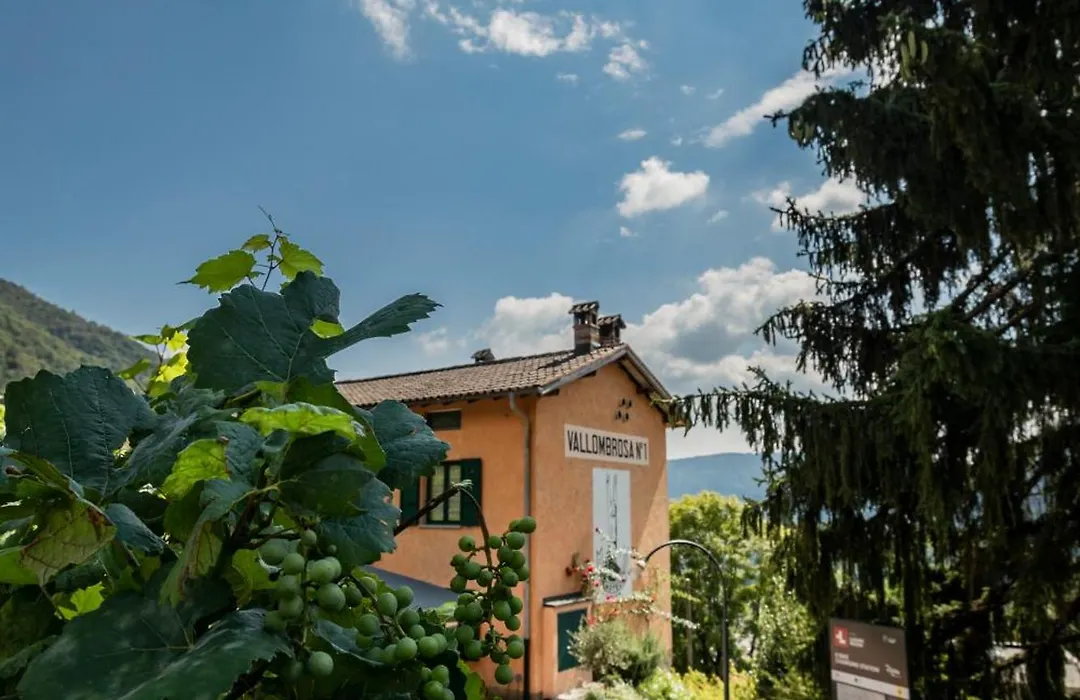 Wine & Art Relais Vallombrosa-1