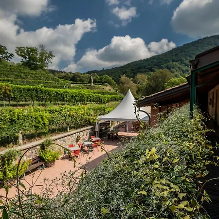 Wine & Art Relais Vallombrosa-3